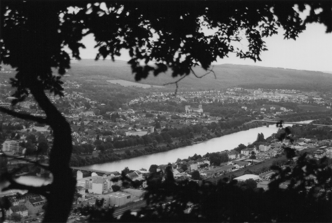 Black and white picture of the German city Trier from above. Through the canopy of a tree the view is onto the Mosel, the river. You can see two bridges and the city fading in grey.